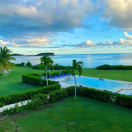 Blue Horizon Boutique Resort (Adults Only) Vieques Exterior foto