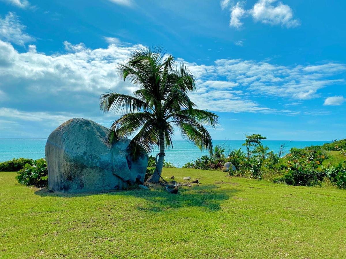 Blue Horizon Boutique Resort (Adults Only) Vieques Exterior foto