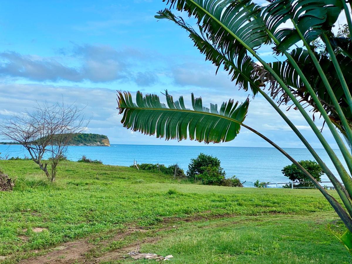 Blue Horizon Boutique Resort (Adults Only) Vieques Exterior foto