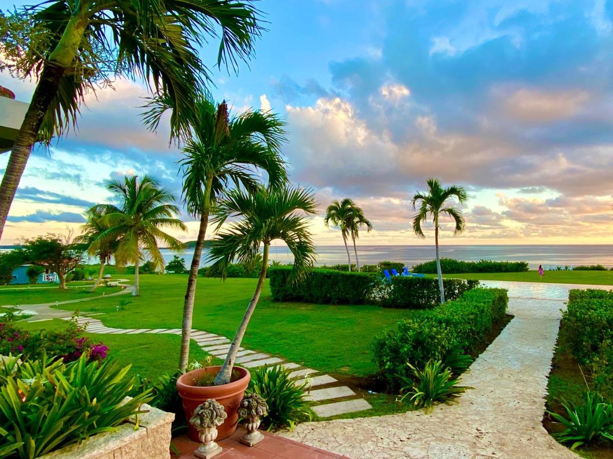 Blue Horizon Boutique Resort (Adults Only) Vieques Exterior foto