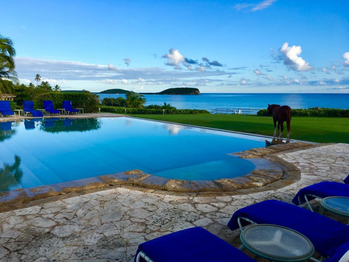 Blue Horizon Boutique Resort (Adults Only) Vieques Exterior foto